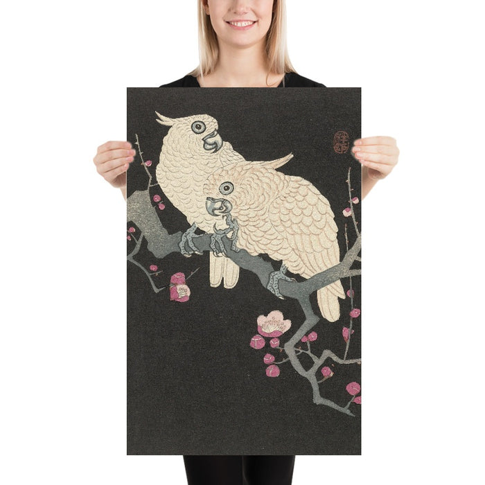 Two Cockatoo and Plum Blossom by Ohara Koson, 1925