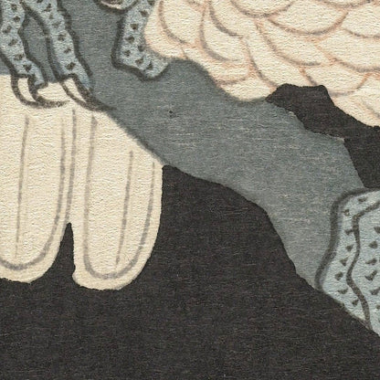 Two Cockatoo and Plum Blossom by Ohara Koson, 1925