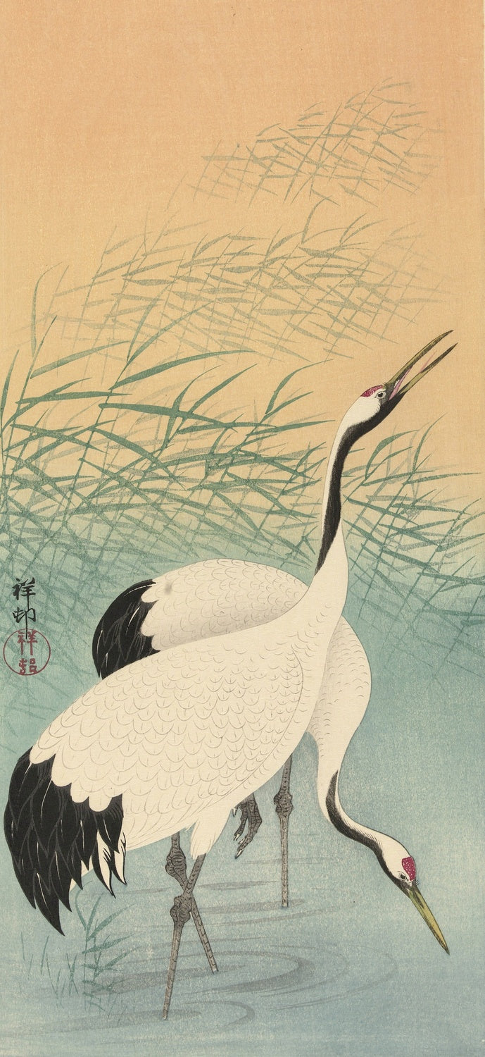 Two Cranes I by Ohara Koson, 1925