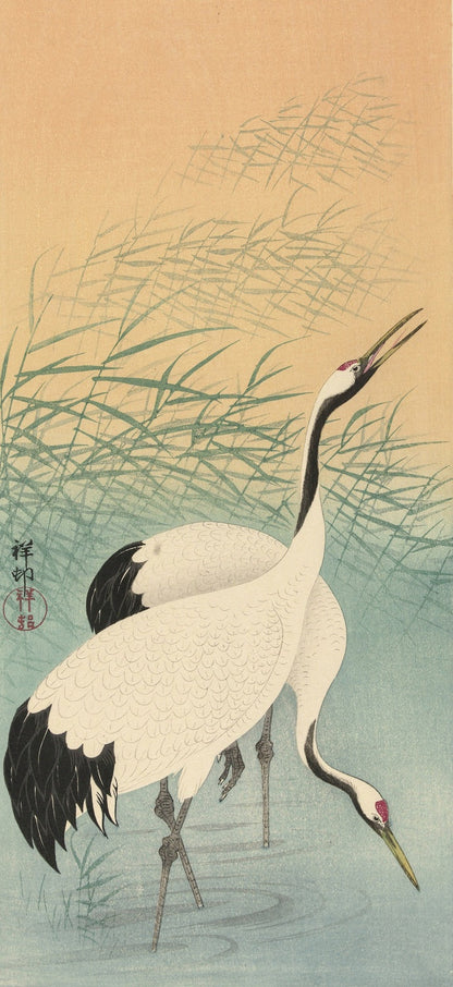 Two Cranes I by Ohara Koson, 1925