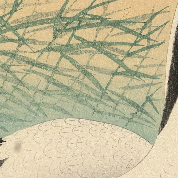 Two Cranes I by Ohara Koson, 1925