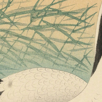 Two Cranes I by Ohara Koson, 1925