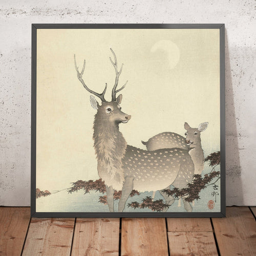 A framed image of