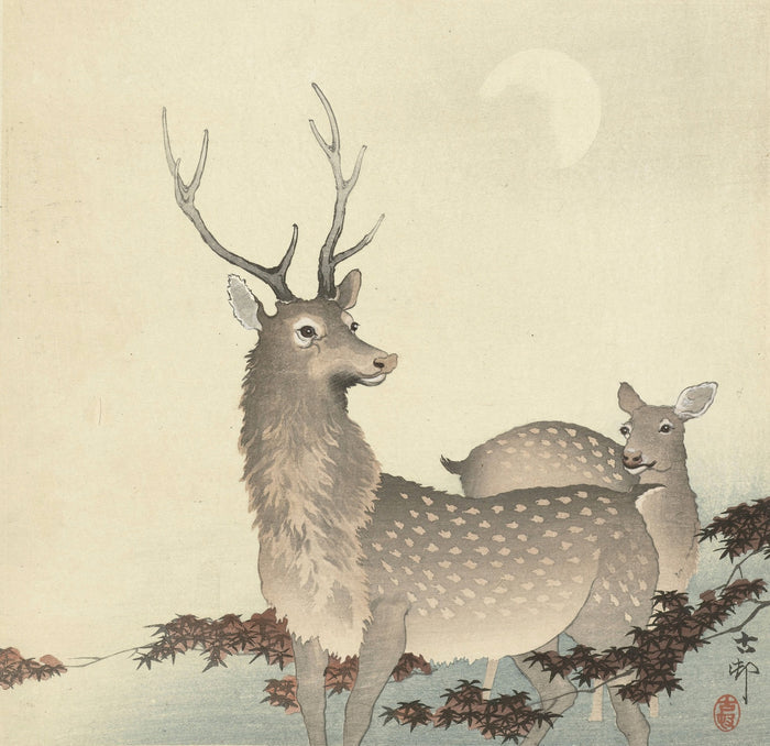 Two Deer by Ohara Koson, 1900