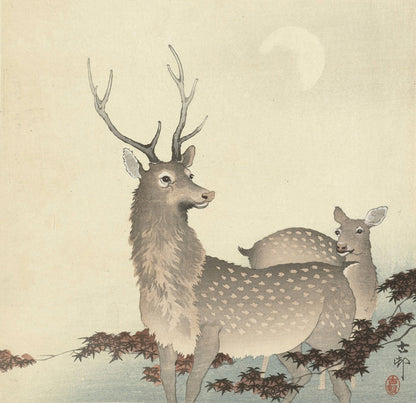 Two Deer by Ohara Koson, 1900