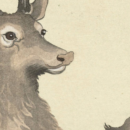 Two Deer by Ohara Koson, 1900