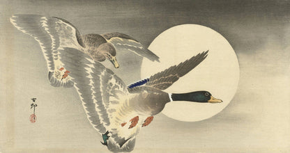 Two ducks at full moon by Ohara Koson, 1900
