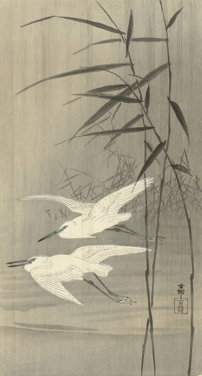 Two Egrets in Flight by Ohara Koson, 1900