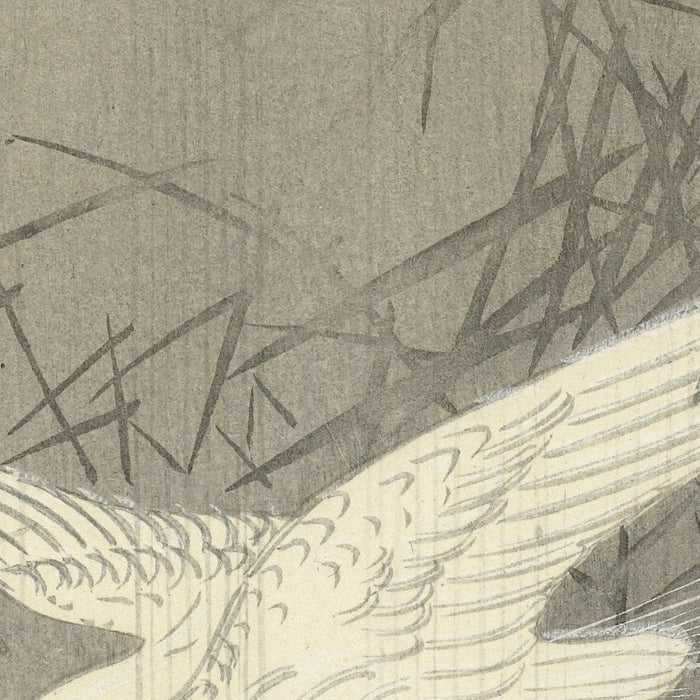 Two Egrets in Flight by Ohara Koson, 1900