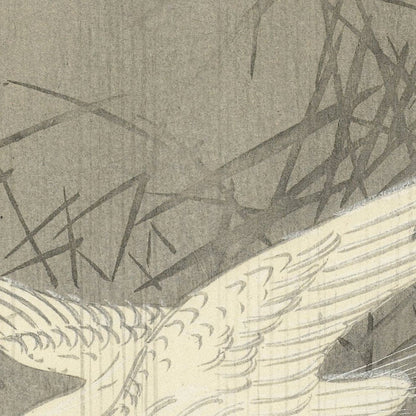 Two Egrets in Flight by Ohara Koson, 1900