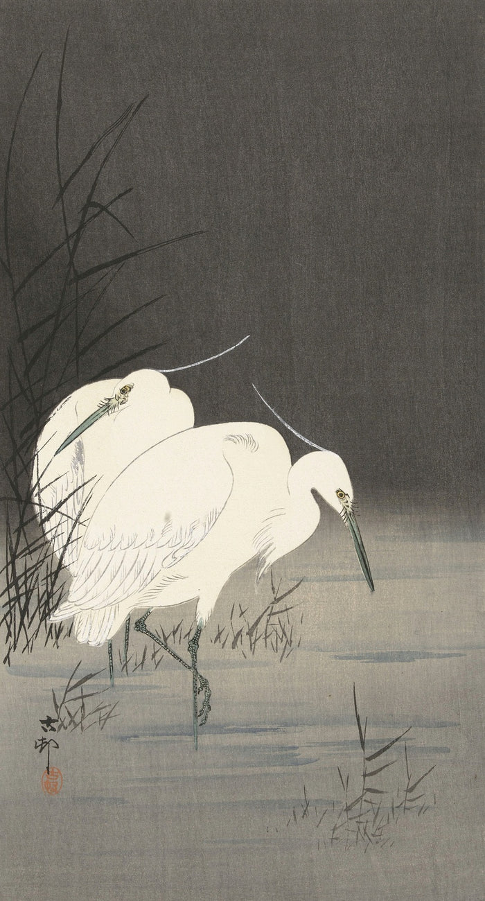 Two Egrets in the Reeds by Ohara Koson, 1900