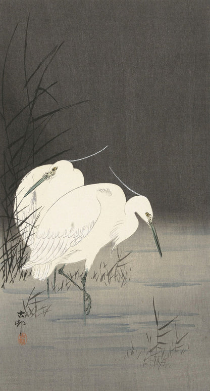 Two Egrets in the Reeds by Ohara Koson, 1900