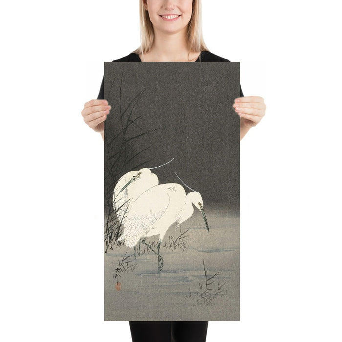 Two Egrets in the Reeds by Ohara Koson, 1900