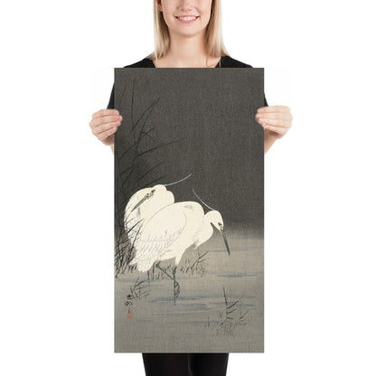 Two Egrets in the Reeds by Ohara Koson, 1900