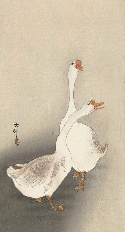 Two Geese II by Ohara Koson, 1900