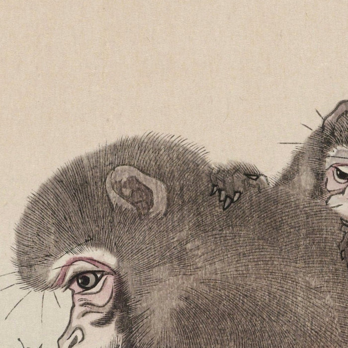 Two Monkeys with Butterfly by Ohara Koson, 1900