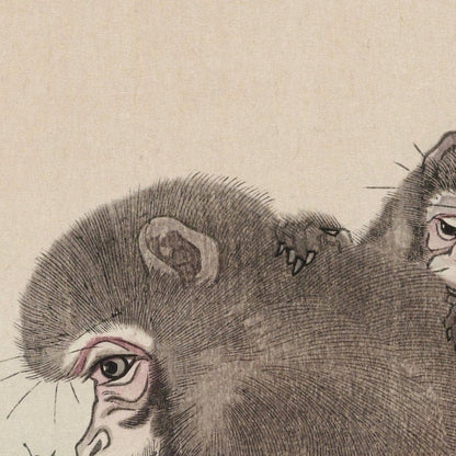 Two Monkeys with Butterfly by Ohara Koson, 1900
