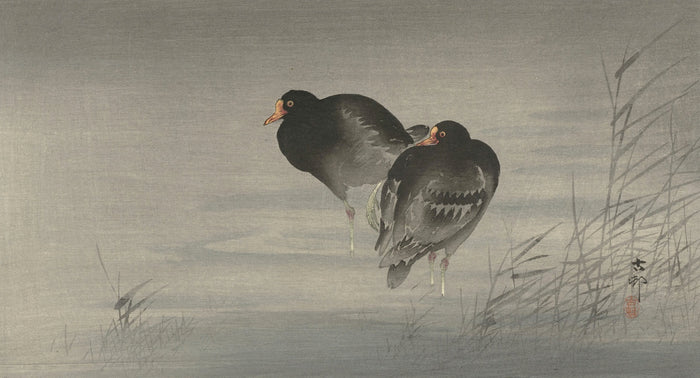 Two Moorhens by Ohara Koson, 1900