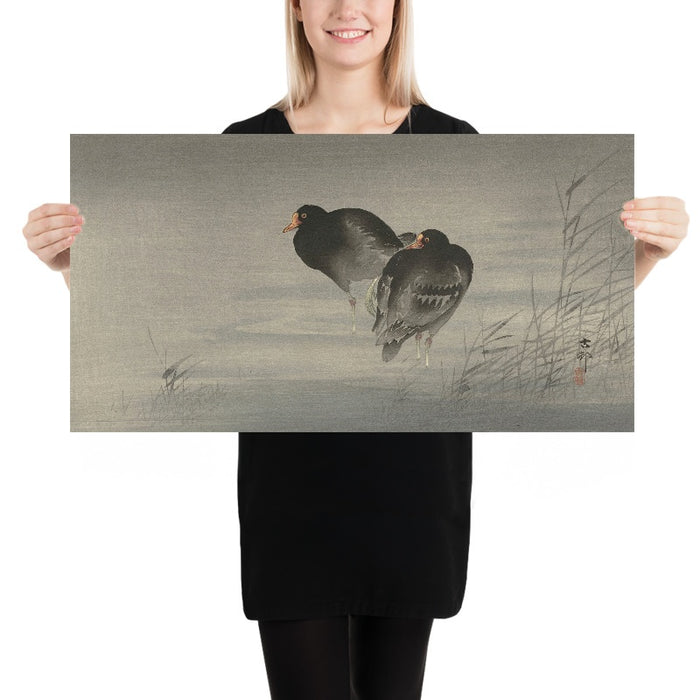Two Moorhens by Ohara Koson, 1900