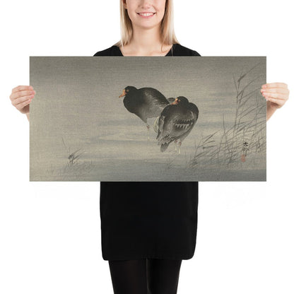 Two Moorhens by Ohara Koson, 1900