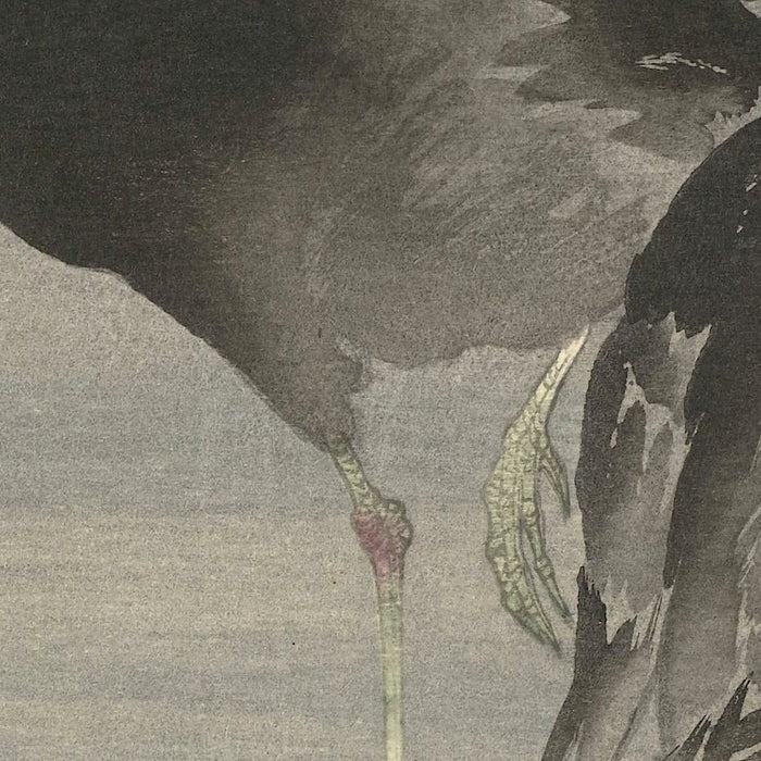Two Moorhens by Ohara Koson, 1900