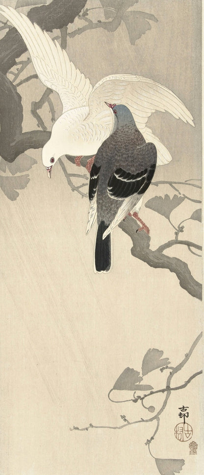 Two Pigeons on a Branch by Ohara Koson, 1877