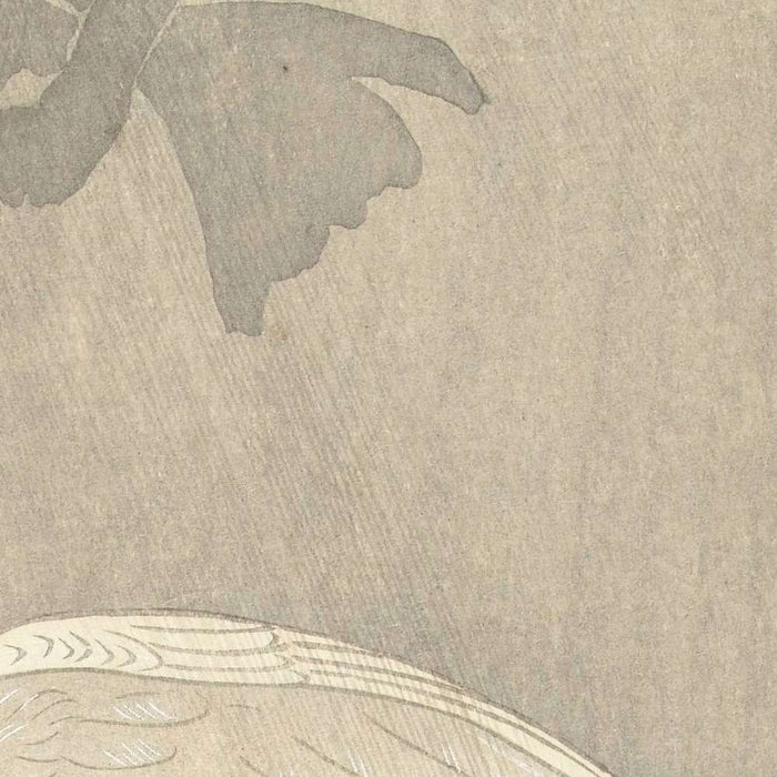 Two Pigeons on a Branch by Ohara Koson, 1877