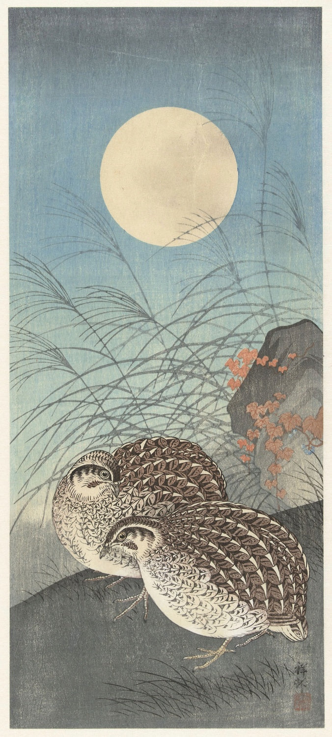 Two Quail at Full Moon by Ohara Koson, 1900