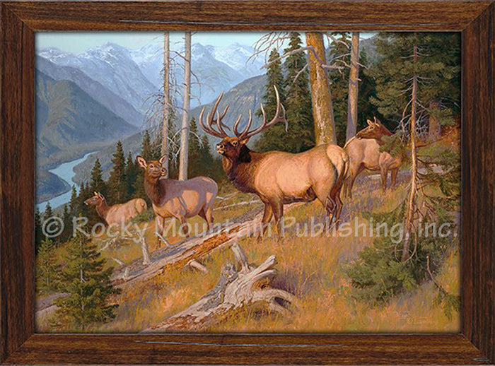 Very Few Rivals - Framed Hayden Lambson Giclee Canvas art print