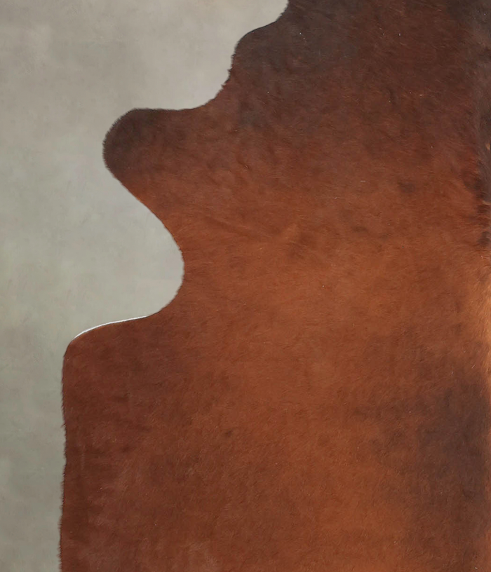 Brown with Red Cowhide Rug #B3817