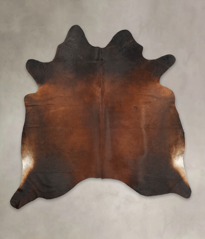 Brown with Red Cowhide Rug #B3815