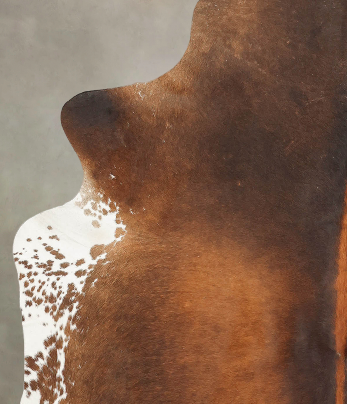 Brown with Red Cowhide Rug #B3832