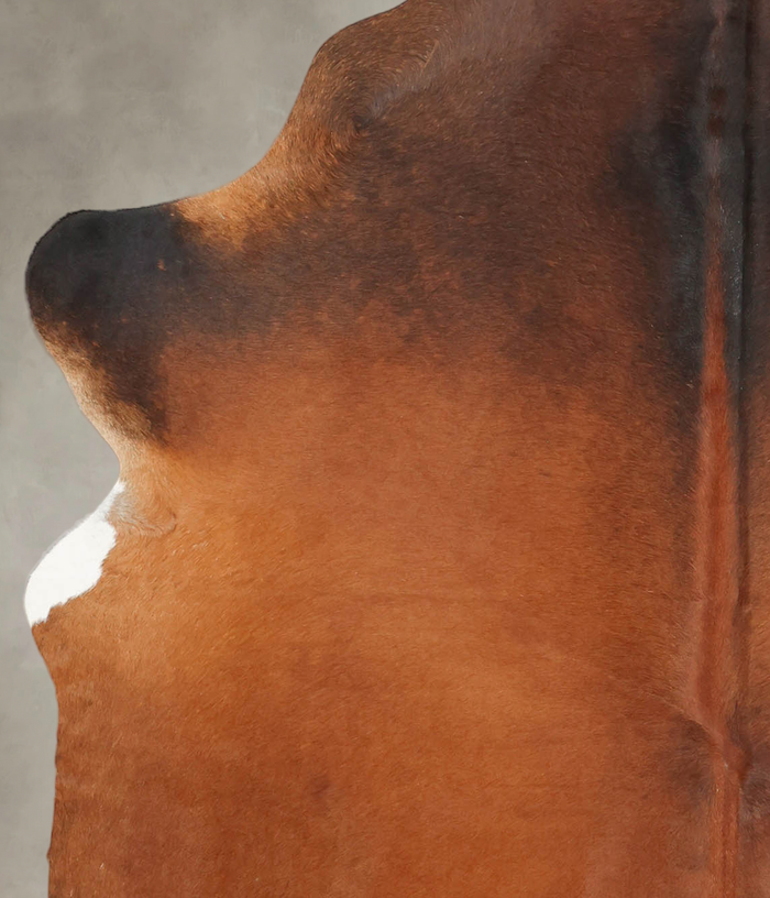 Brown with Red Cowhide Rug #B3819