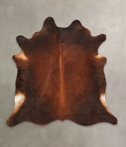 Brown with Red Cowhide Rug #B3837