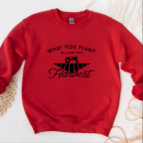 What You Plant Will Come Into Harvest  – Crewneck