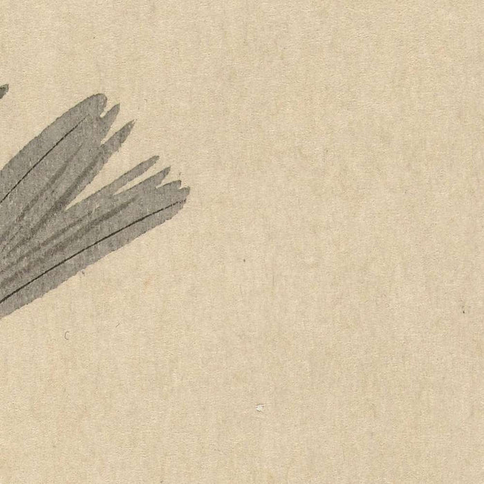 Wheatear with Bamboo by Ohara Koson, 1900