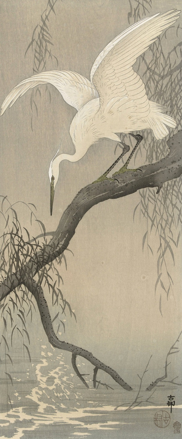 White Heron on Tree Branch by Ohara Koson, 1900