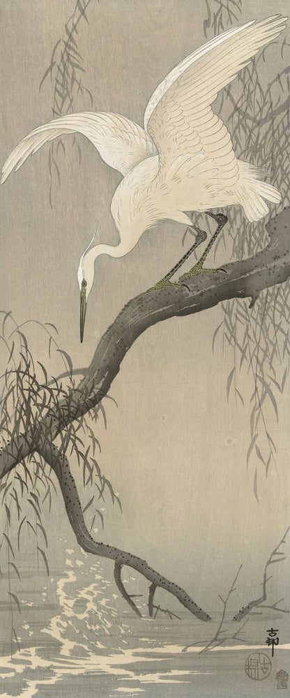 White Heron on Tree Branch by Ohara Koson, 1900