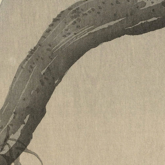 White Heron on Tree Branch by Ohara Koson, 1900