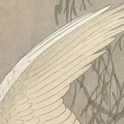 White Heron on Tree Branch by Ohara Koson, 1900