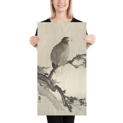 White-tailed Eagle on Branch by Ohara Koson, 1900