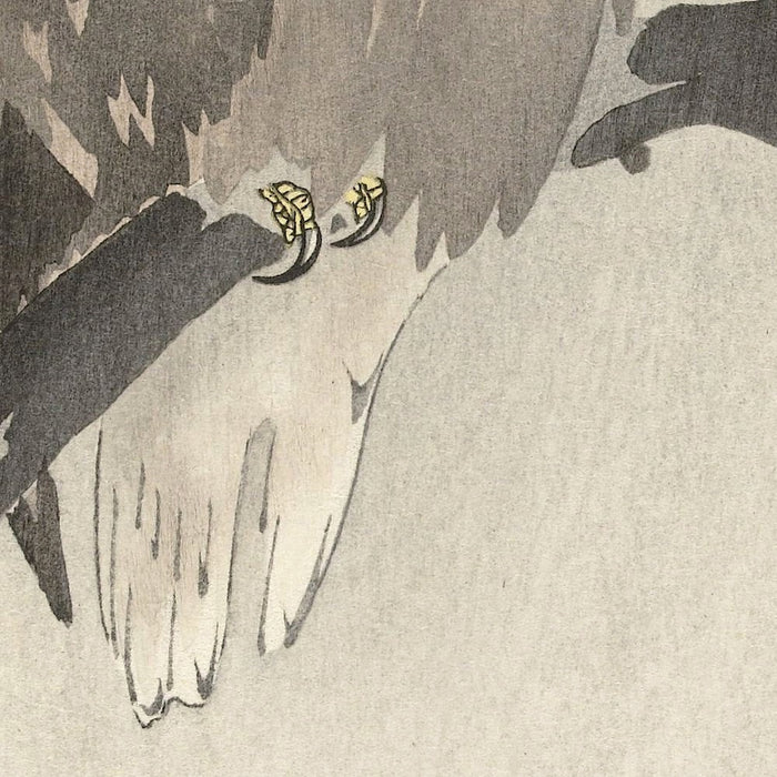 White-tailed Eagle on Branch by Ohara Koson, 1900