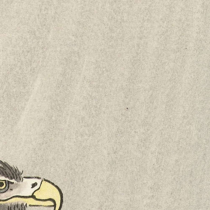 White-tailed Eagle on Branch by Ohara Koson, 1900