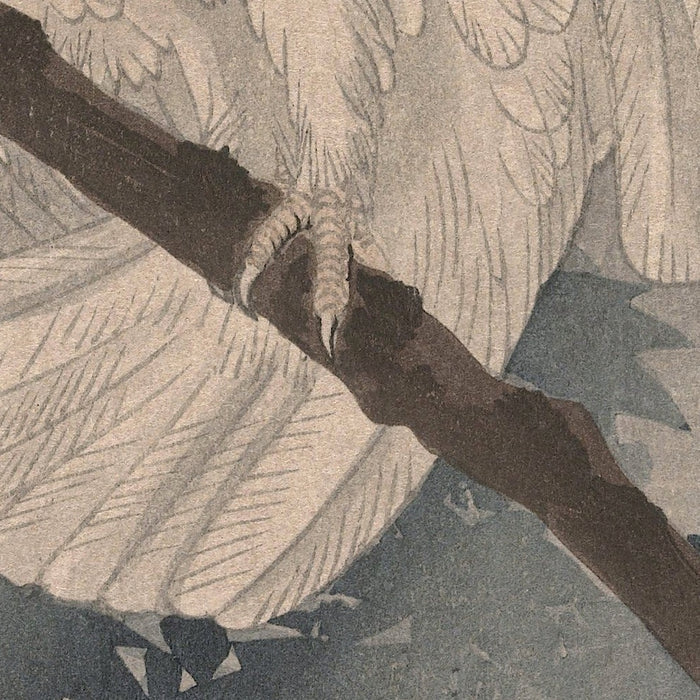 Yellow Crested Cockatoo in Tree by Ohara Koson, 1900